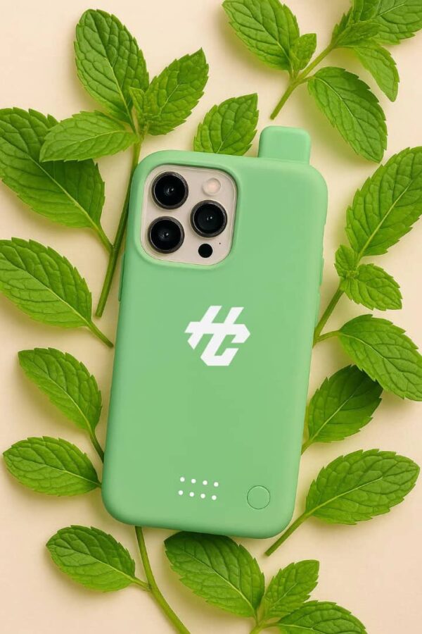 MENTHE DE MIAMI